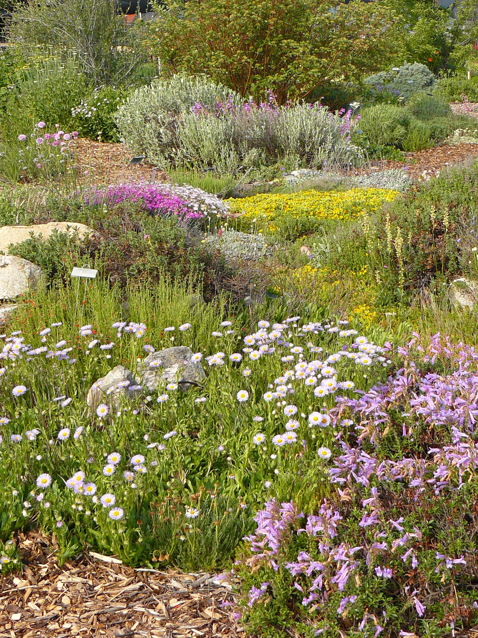 Display Gardens | Draggin Wing Farm