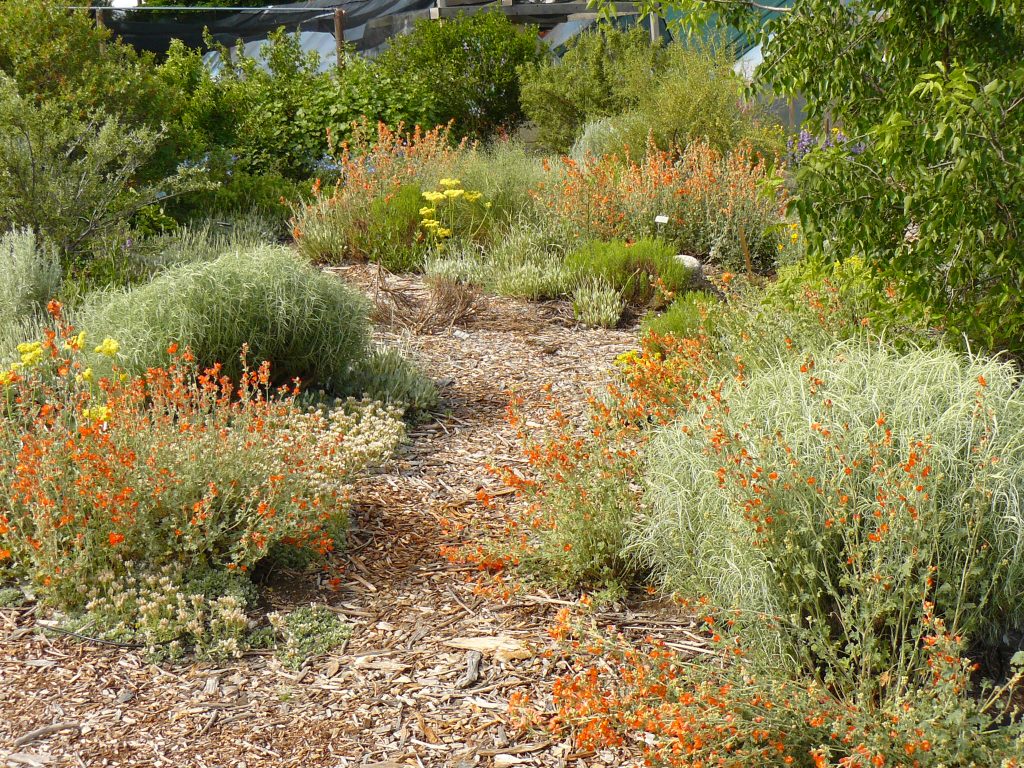 Display Gardens | Draggin Wing Farm